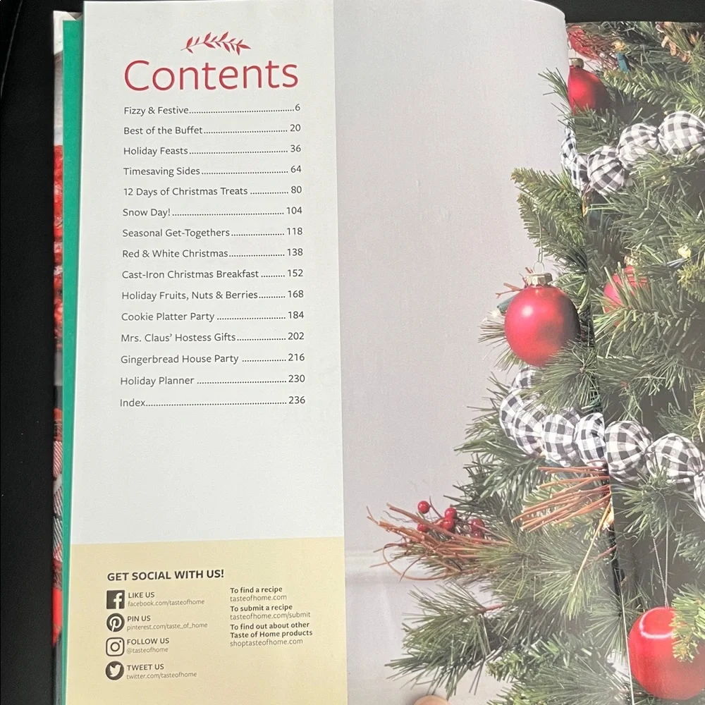 Taste of Home Christmas 2020 Cookbook with Festive Colors